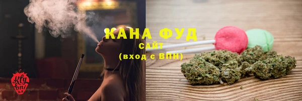 МДПВ Медногорск
