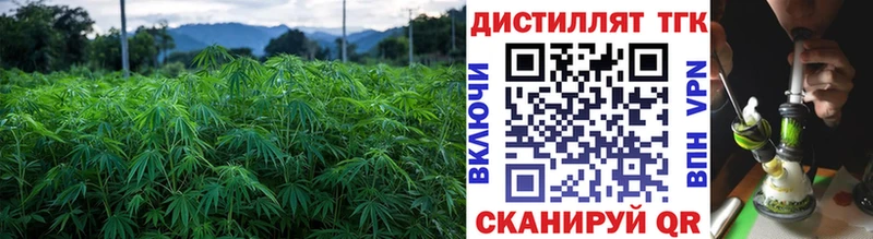 Дистиллят ТГК вейп Темников